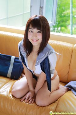 《金花瓶楷梅花2》