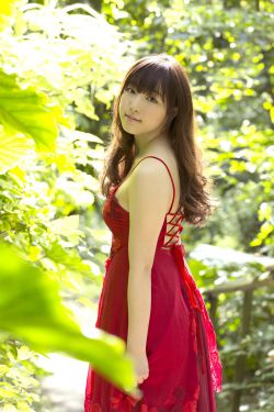 大雄与铁人兵团
