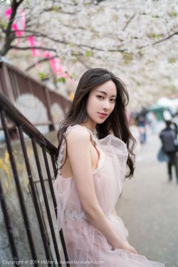 星空无限传媒在线观看电视剧赘婿